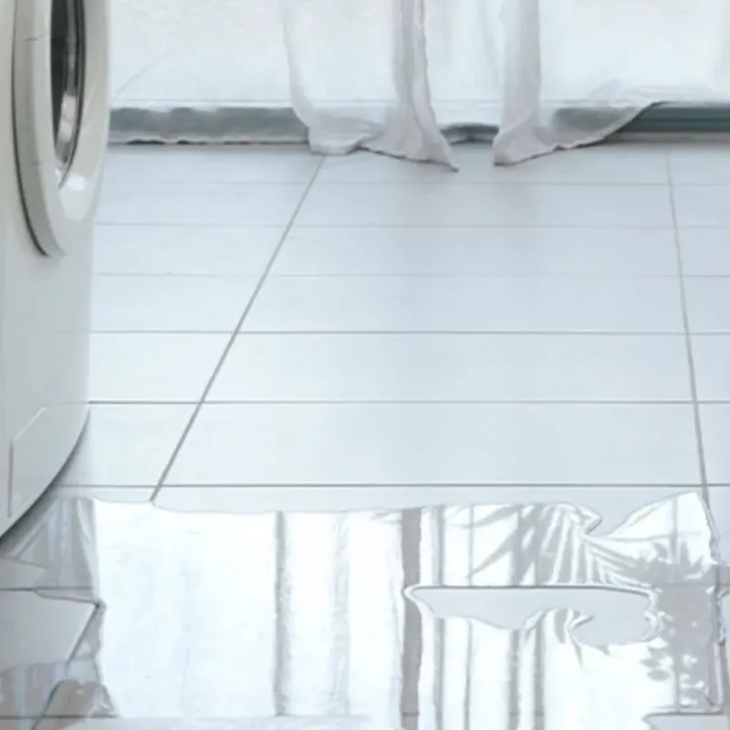 Appliance Leak Cleanup in Millersport, OH