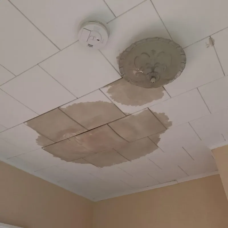 Ceiling Water Damage Repair in Millersport, OH