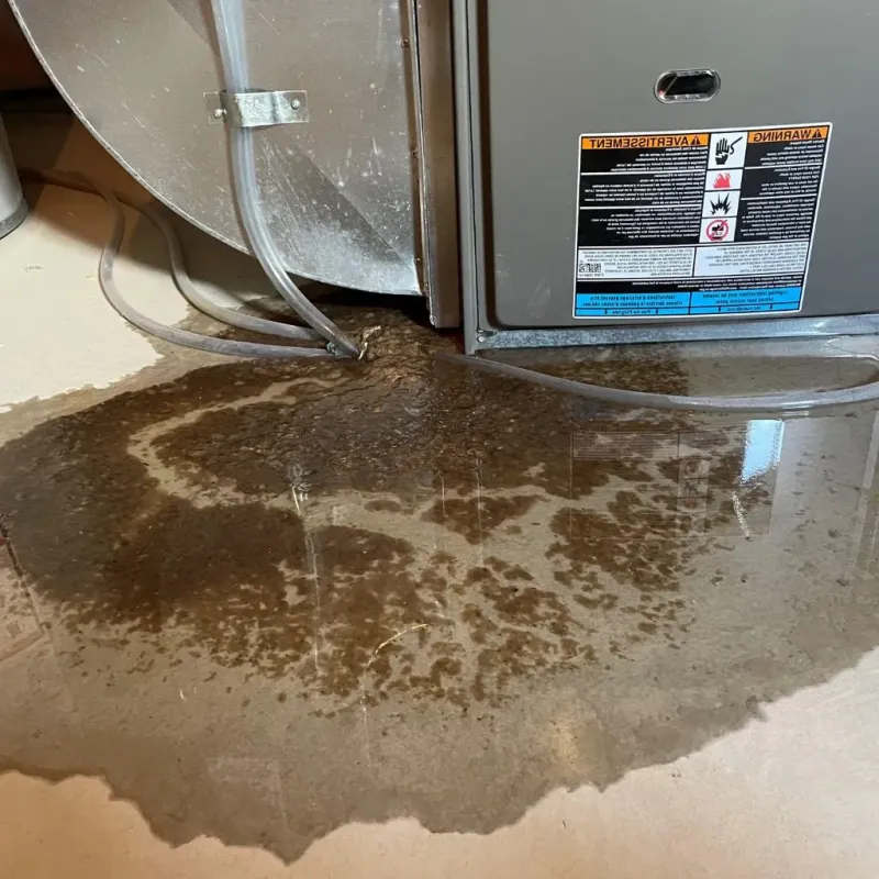 Pipe Burst and Leak Restoration in Millersport, OH