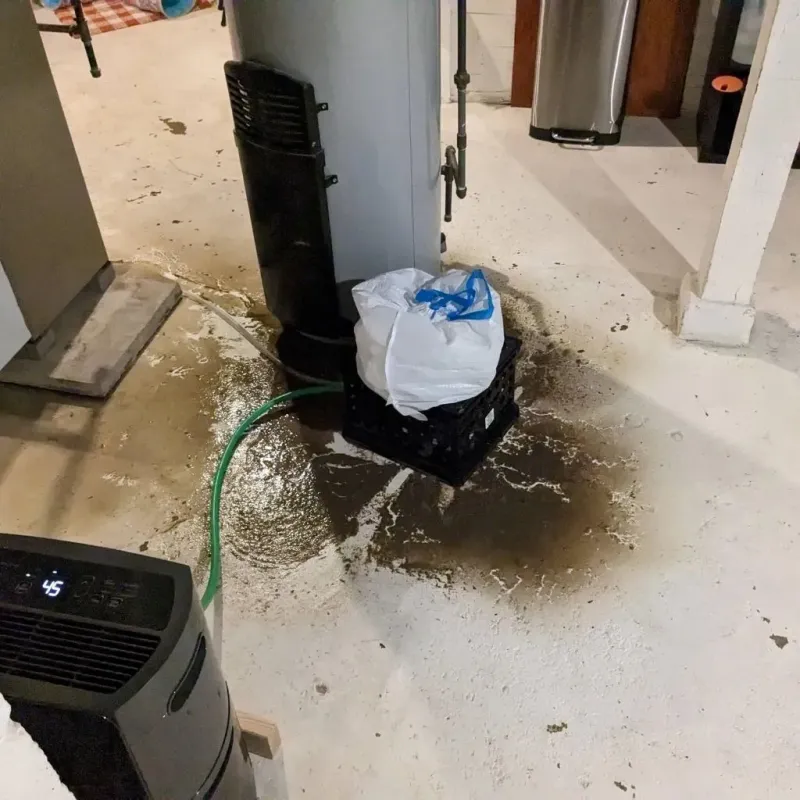 Sewage Backup Cleanup Service in Millersport, OH
